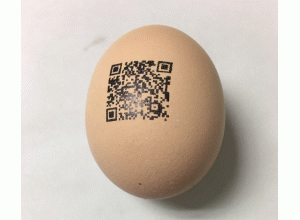 uv led噴碼機(jī).gif uv led噴碼機(jī).gif